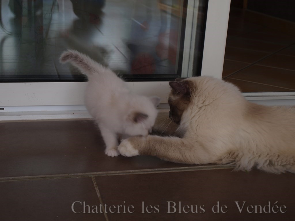 Idaho le grand frère avec sa soeur Jinnie