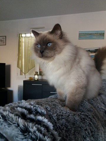 Idaho en vacances en Vendée