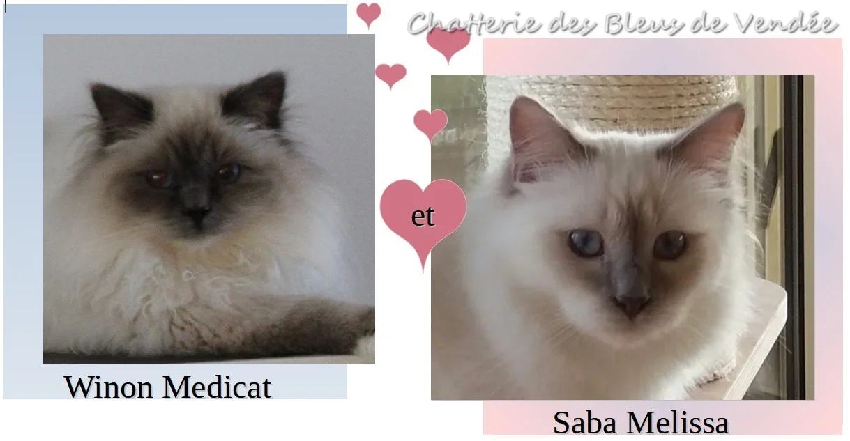 Winon/Melissa
