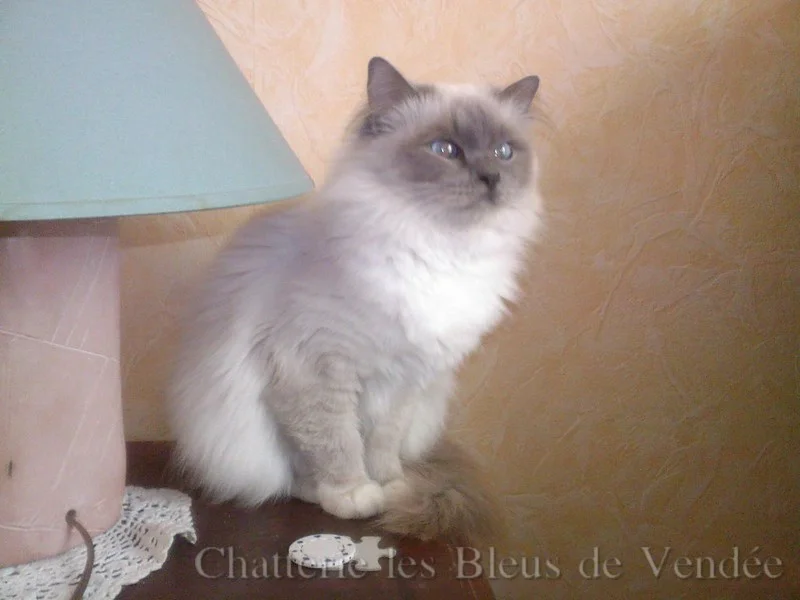 Barbotine à 2 ans