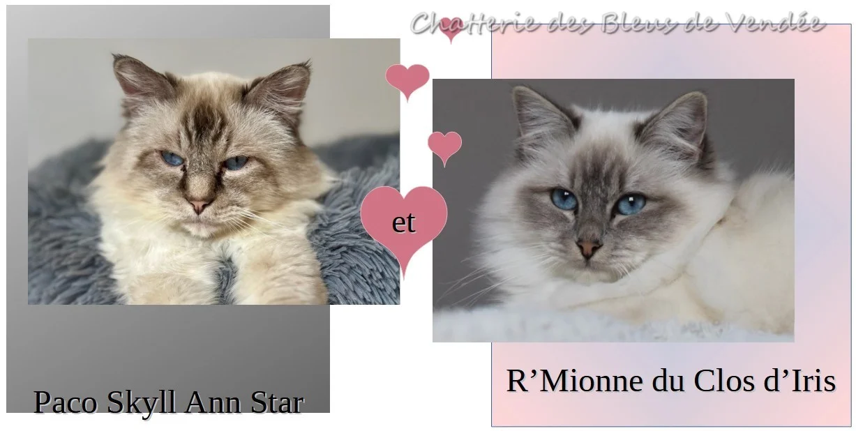 Paco/R'Mionne